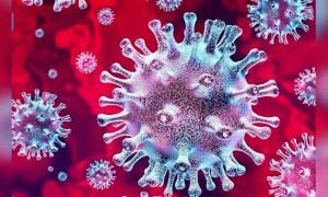 করোনা ভাইরাসের ব্যাপারে আরো কিছু গুরুত্বপূর্ণ তথ্য