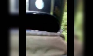 বাঘ থেকে কোনোভাবে বাঁচলেন এই পর্যটক রা