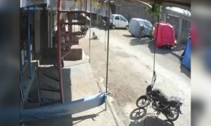 দেখুন বানরটি কিভাবে লোকটিকে আক্রমণ করে