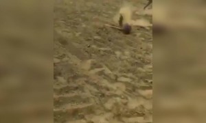 ভারী জিনিস উপরে ছোড়া আগে একটু চিন্তা করতে হয়