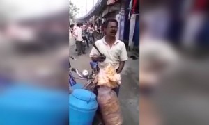 এই বিক্রেতার বিক্রি করার ধরণ খুবই ইউনিক, দেখে আপনার পাবে হাসি