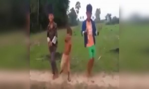 নাচতে নাচতে ধপাস