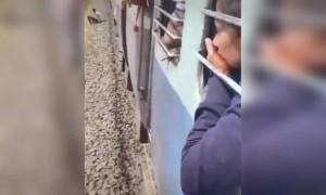 ট্রেন থেকে পড়ে গিয়েও দেখুন কিভাবে বেঁচে গেলেন এই লোকটি