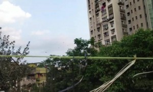 দেখুন লোকেরা কিভাবে স্বাস্থ্যকর্মীদের প্রতি নিজের কৃতজ্ঞতা জানালেন