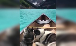 এরকম শান্তিতে সুন্দর জায়গায় দিন কাটাতে কেমন লাগবে?