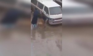 যখন বউ বলে সে নিজের বাপের বাড়ি ঘুরতে যাবে