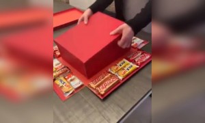 এরকম গিফটের বাক্স কার চাই?