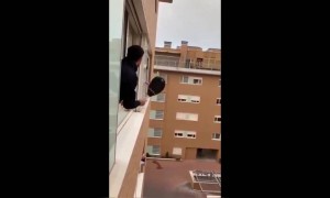 লকডাউন চলাকালীন কিভাবে নিজেকে ফিট রাখছে কিছু লোক