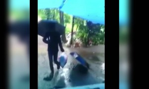 বাজারের ব্যাগ থেকে কি বেরোলো দেখুন