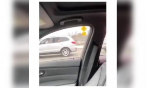 এতো সুন্দর বন্ধুত্বের মুহূর্ত দেখেছেন কি?