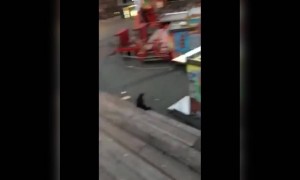 এরকম করলে তো হাত পা ভাঙবেই