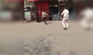 এ আবার কোন পাগল, পুলিশকে পাথর ছুড়ছে!