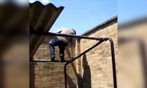 এতো ভালো শুরু করেও শেষে কি হলো দেখুন