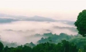 দেখুন কি সুন্দর প্রাকৃতিক দৃশ্য