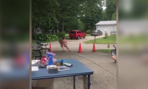 এইজন্যেই বেশি আলসেমি করা উচিত নয়