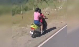 ছেলে দেখতে গিয়ে হলো এক্সিডেন্ট