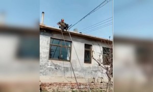 এভাবে কোনদিন মই দিয়ে নেমেছেন?