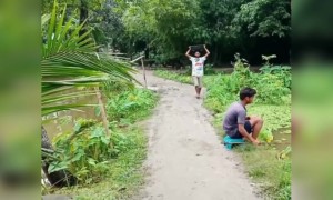 এই দেখুন মজাদার কমেডি