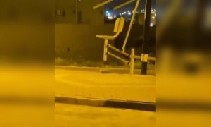 সবাই ঘরে, তাই ভূত বেরিয়েছে ব্যায়াম করতে