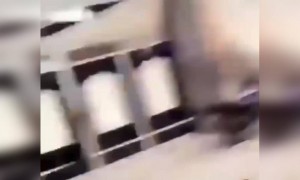 ফেক সাইরেন বাজিয়ে বন্ধুদের দেখালো ভয়