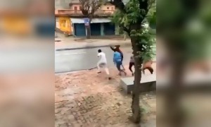 কিভাবে নিজের জানালা দিয়ে পুলিশের ভয় দেখালো দেখুন