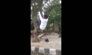 পুলিশের ভয়ে কি গাছে উঠে গেছে নাকি?