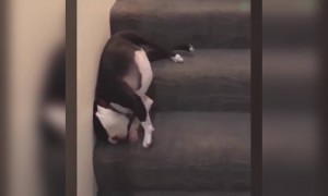 এরকম ভাবে কে ঘুমায়?