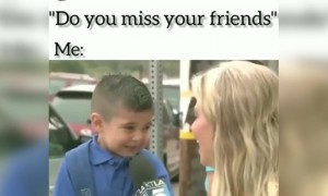 লকডাউনে কি আপনি আপনার বন্ধুদের মিস করছেন?