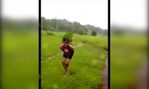 এত সুন্দর ময়ূর দেখেছেন?