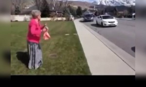 একসাথে জড়ো হওয়া মানা তাই দিদার সাথে এভাবে দেখা করলেন নাতি-নাতনিরা