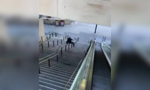 লকডাউনের পর এটা করার ইচ্ছে রইলো