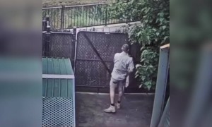 কেউ না দেখতে পেলে আপনিও এভাবে নাচ করতেন