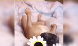 লকডাউনে ঠিক এই ফিলিংটা হচ্ছে