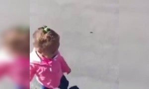 বাচ্চাটি নিজের ছায়া দেখে পেলো ভয়