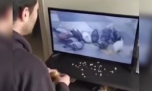 লকডাউনে এভাবে পাখিদের খেতে দেওয়া হচ্ছে