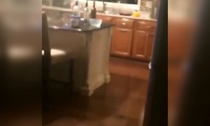 এভাবে কখনো বন্ধুকে চমকিয়ে দিয়েছেন?