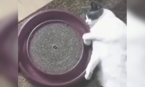 লকডাউনে সবার এখন এরকমই লাগছে