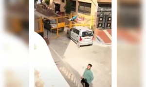 লকডাউনেও চলছে প্রেমের কিছু কিউট মুহূর্ত