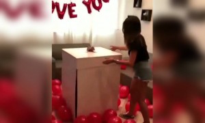 এরকম গিফট কার চাই?