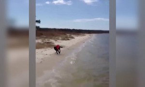 কুকুরটি সমুদ্র দেখে খুব উচ্ছ্বাসিত হয়ে কি করলো দেখুন