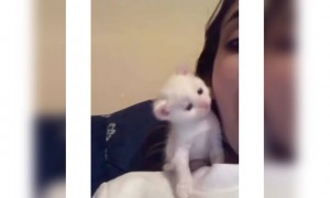 এটা এক সুন্দর ফিলিং