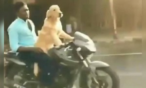 এটা কি ধূম এর সিন?