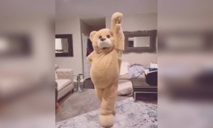 কোয়ারান্টিনে থেকে একটু নাচ শিখে ফেলুন