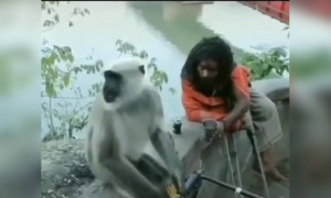 এতো সুন্দর ভিডিও দেখে আপনার মন জুড়িয়ে যাবে