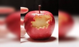 লকডাউনে লোক খুব ক্রিয়েটিভ হয়ে যাচ্ছে