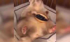 লকডাউনে আমরা যেভাবে দিন কাটাচ্ছি