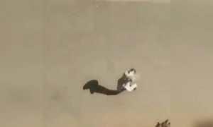 লকডাউনেও বন্ধু সিগারেটের জন্যে চলে আসে