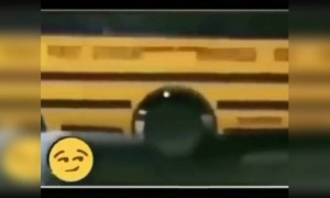 কিভাবে বিদেশে এবং এখানে বাচ্চাদের স্কুলে পাঠানো হয়