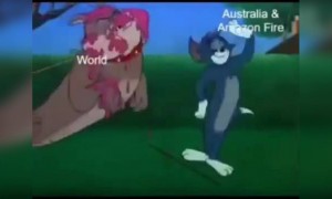 ২০২০ আপাতত এরকমই মনে হচ্ছে