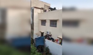 দেখুন বিড়ালটিকে কিভাবে বাঁচানো হলো